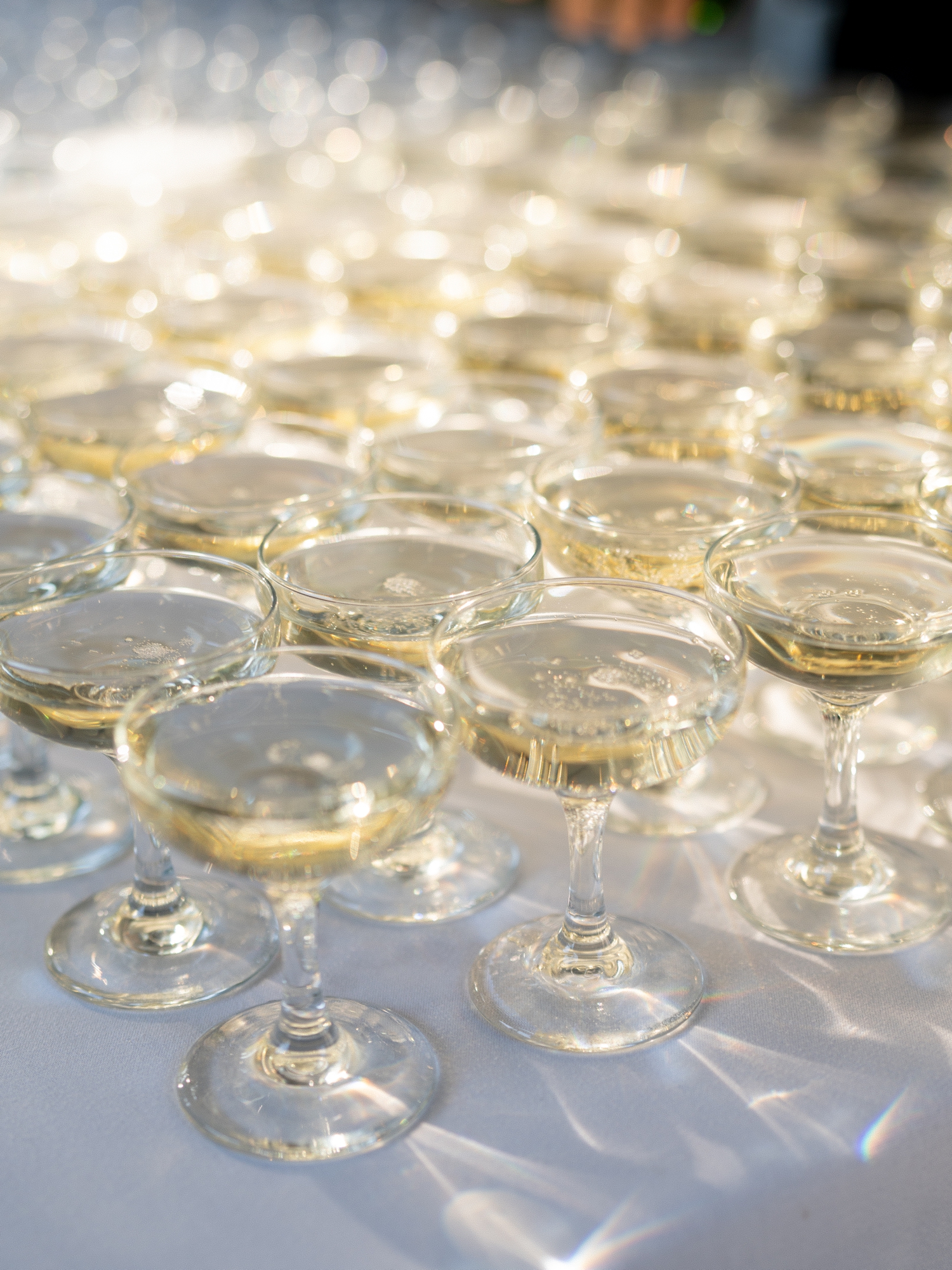 Lake Geneva Wedding by Chicago Wedding Photographer Allison Francois